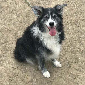 Meet your Posher, Jen